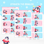 ETINAV59 - Pingüinos y Nieve Festiva