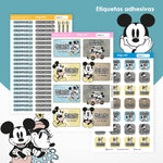 ETI191 - Mickey Retro