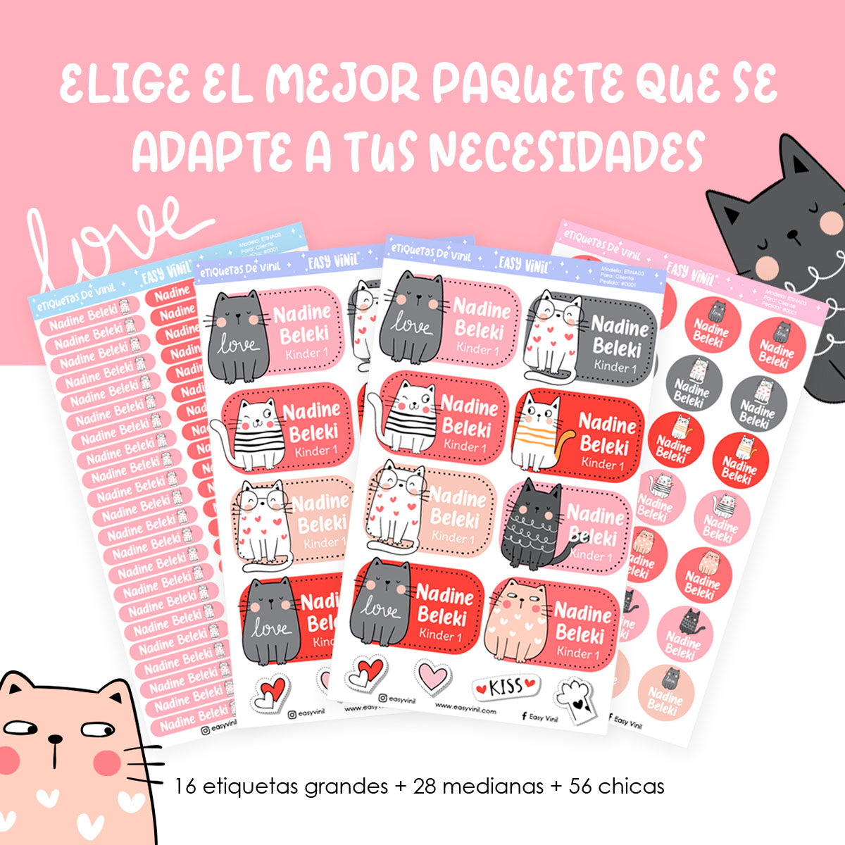 ETI16 - Cute Cats