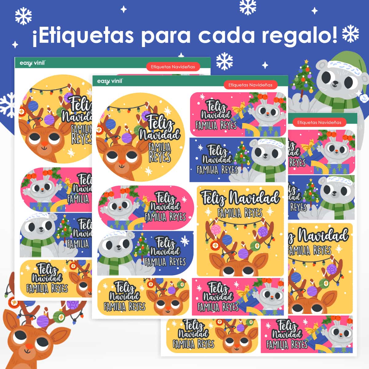 ETIJNAV18 - Fiesta Alegre