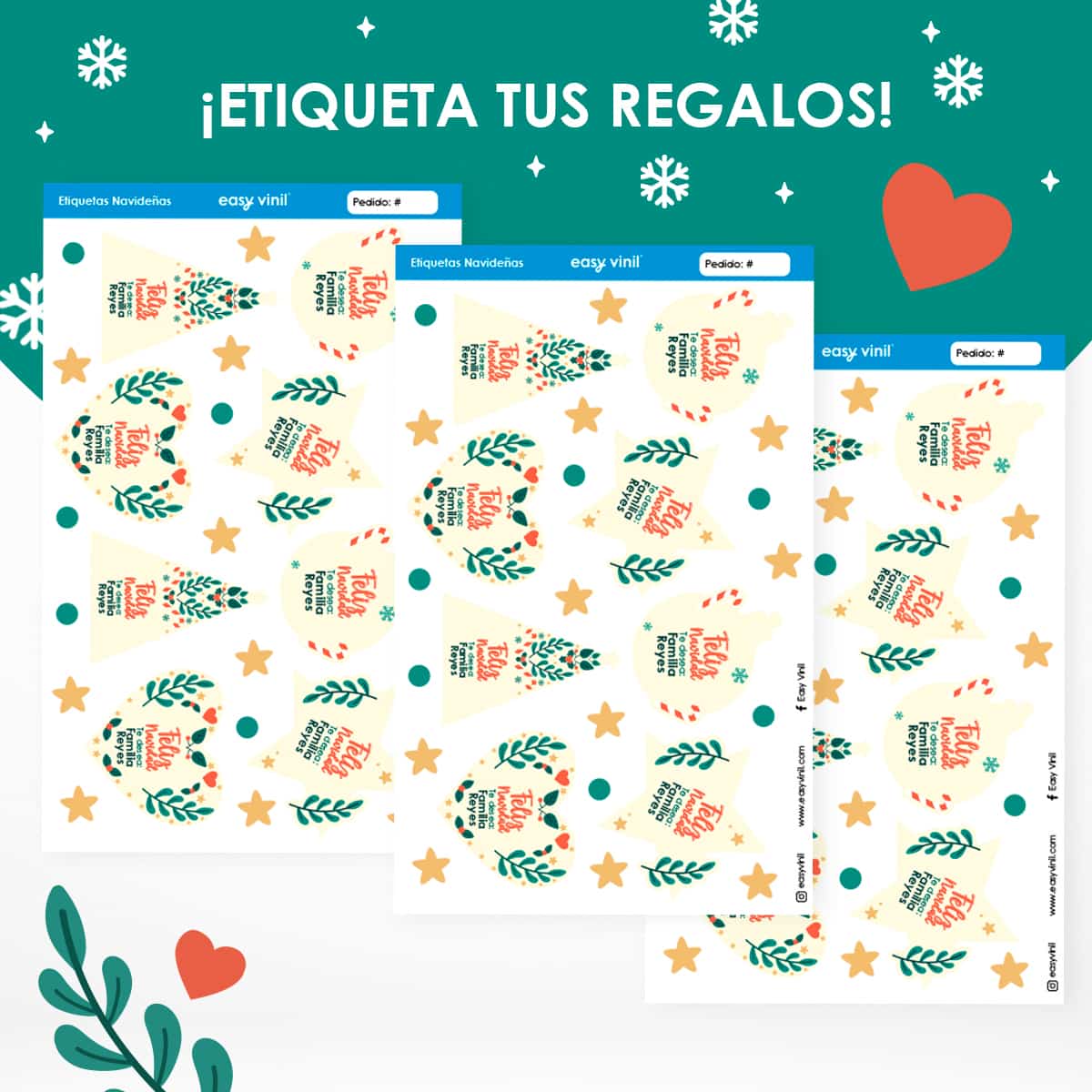 ETINAV75 - Bosque Nevado