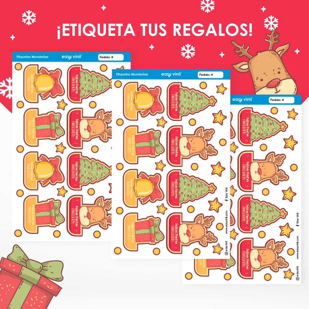 ETINAV76 - Galletas de Invierno