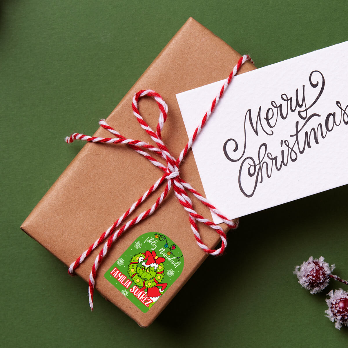 ETINAV72 - Navidad Grinch