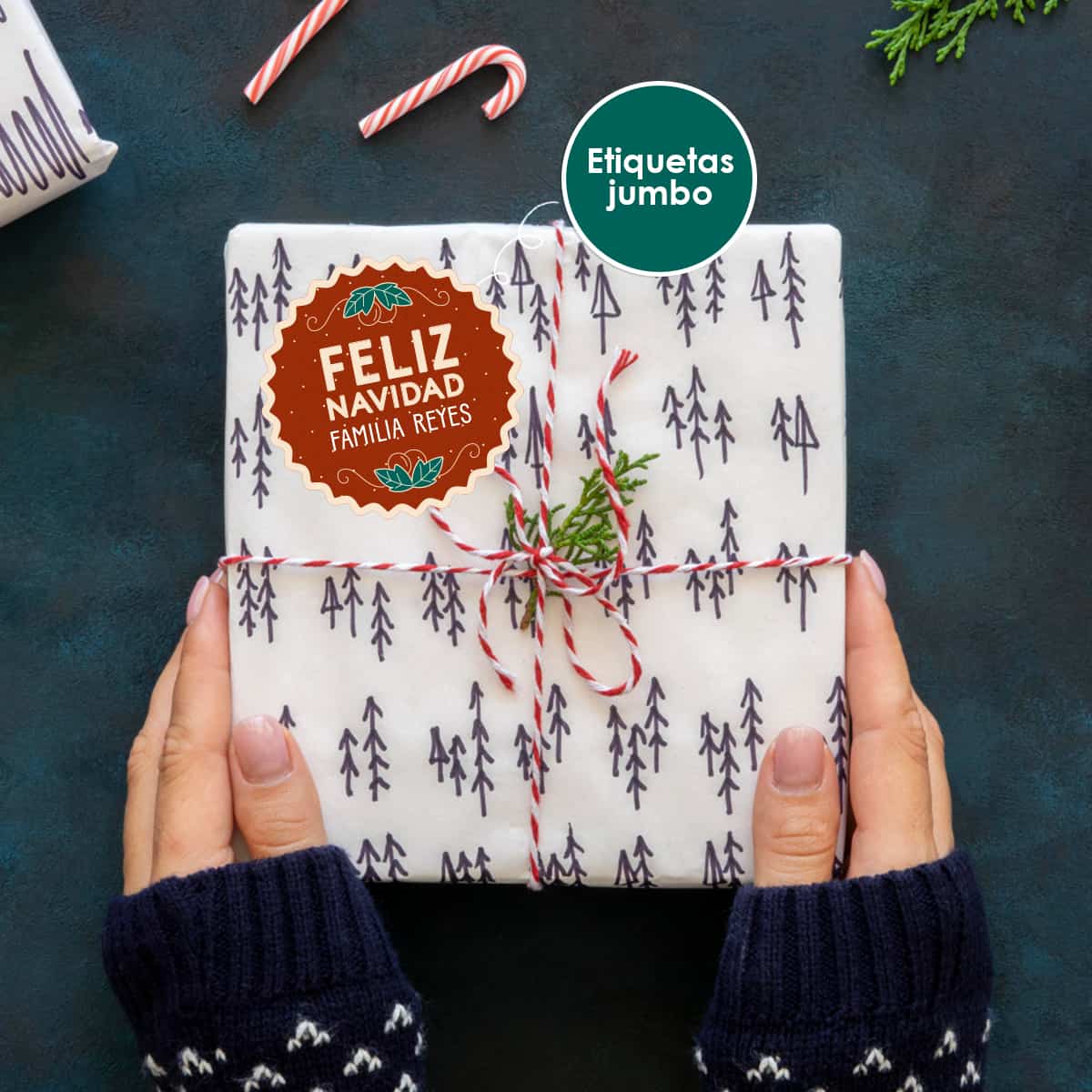 ETIJNAV19 - Hogar Navideño