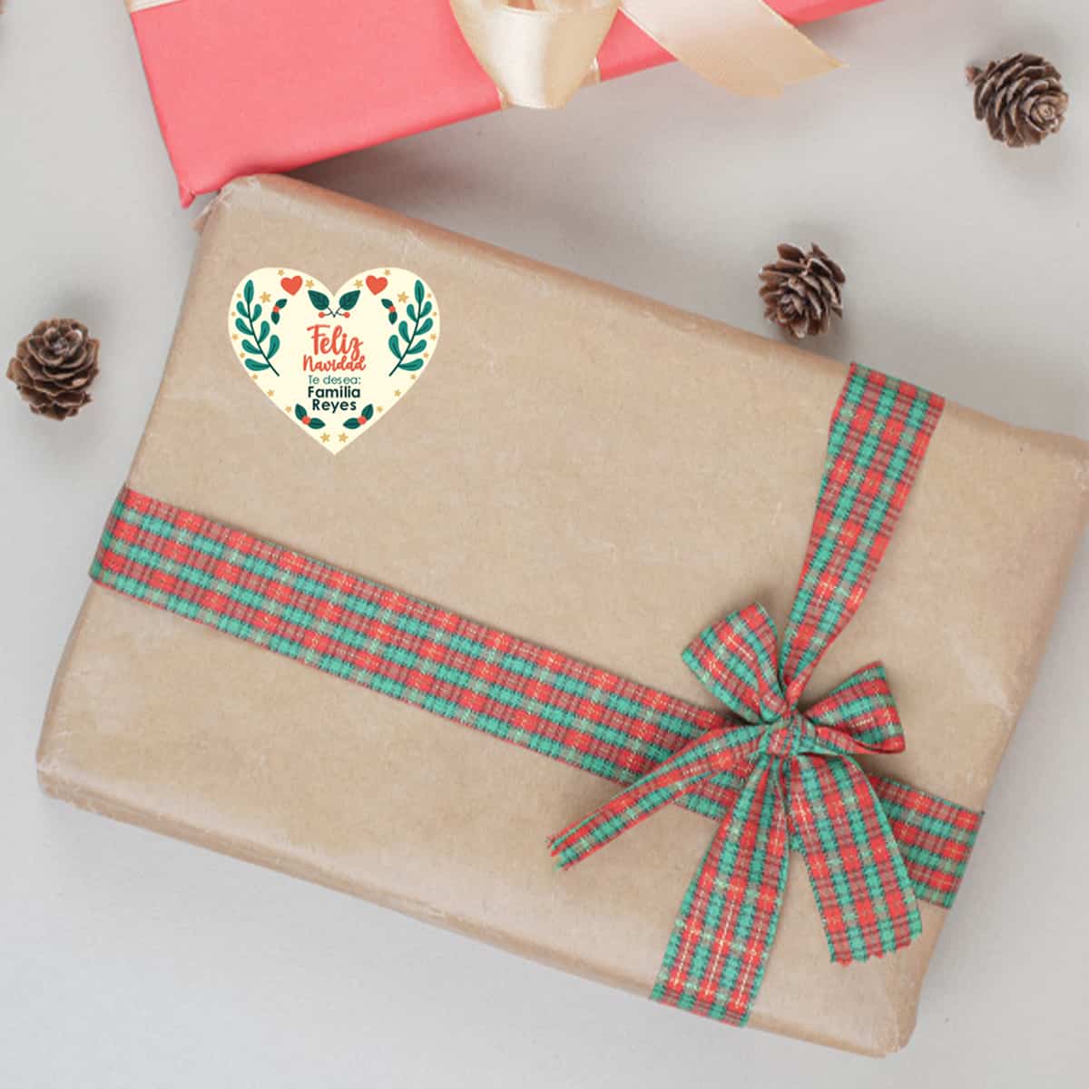 ETINAV75 - Bosque Nevado