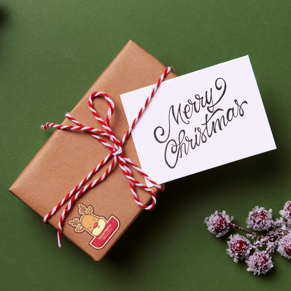 ETINAV76 - Galletas de Invierno