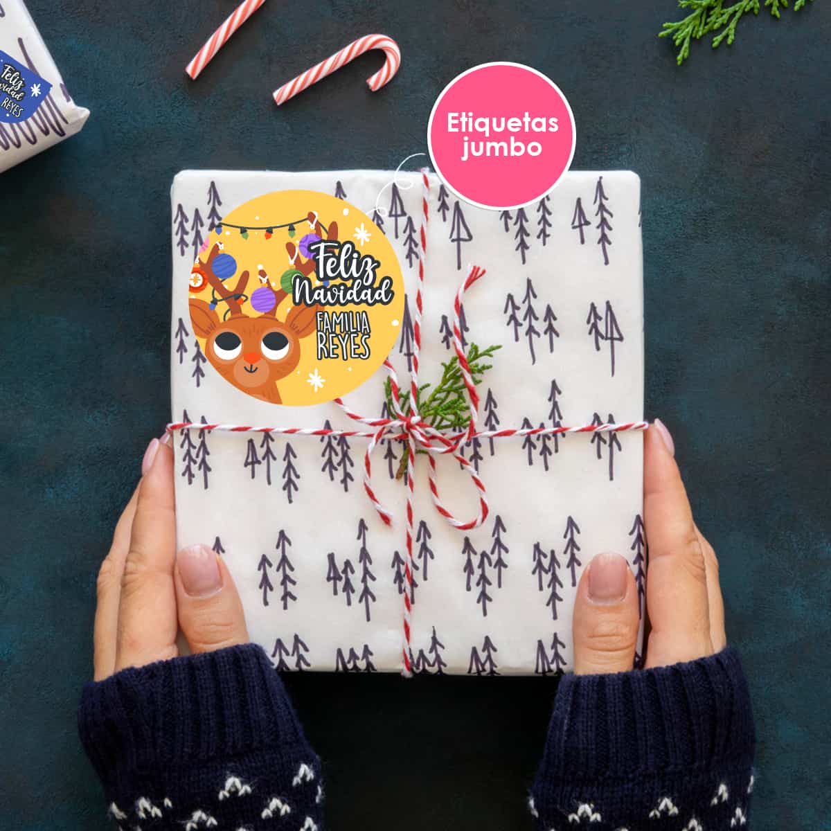 ETIJNAV18 - Fiesta Alegre