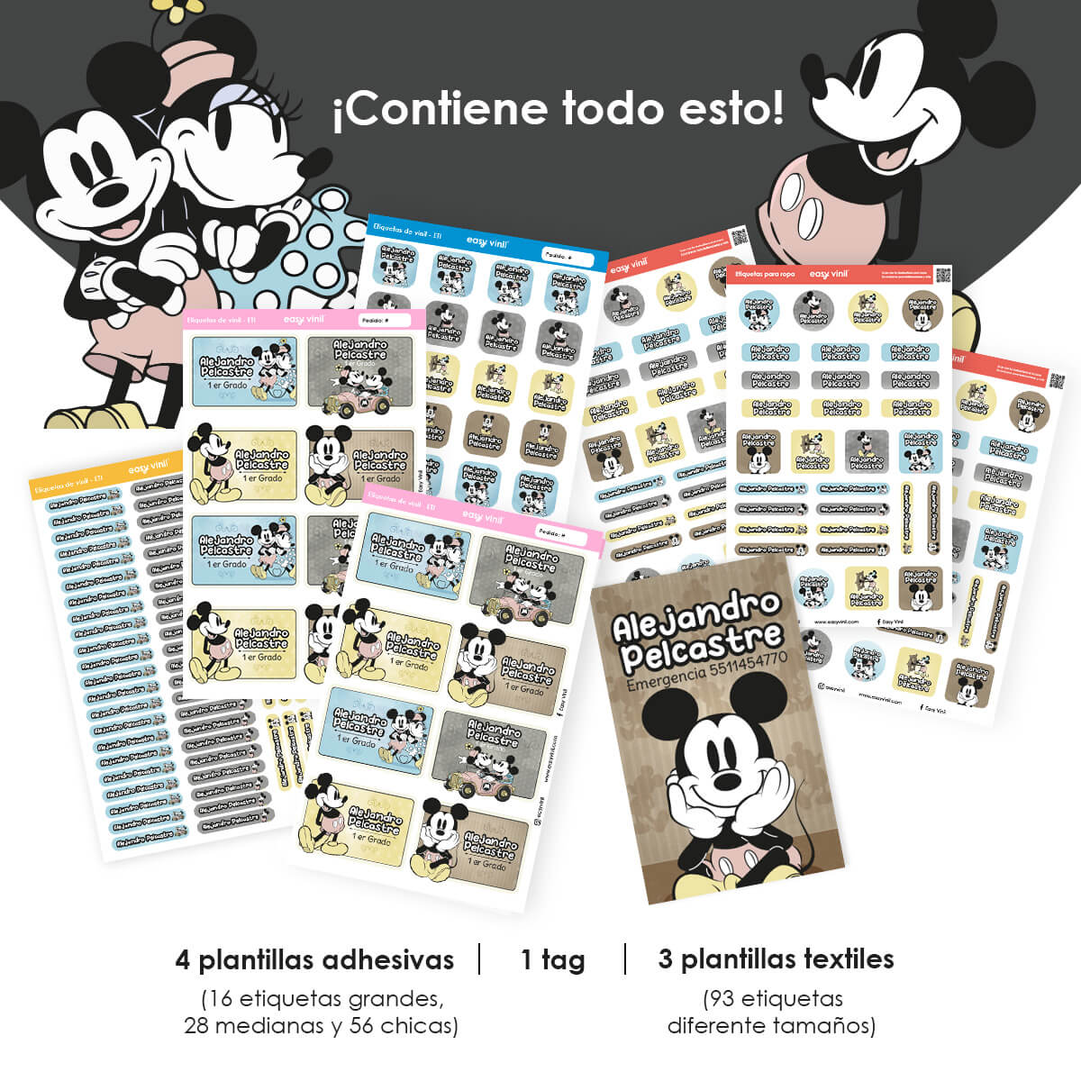 CPRIM191 - Mickey Retro