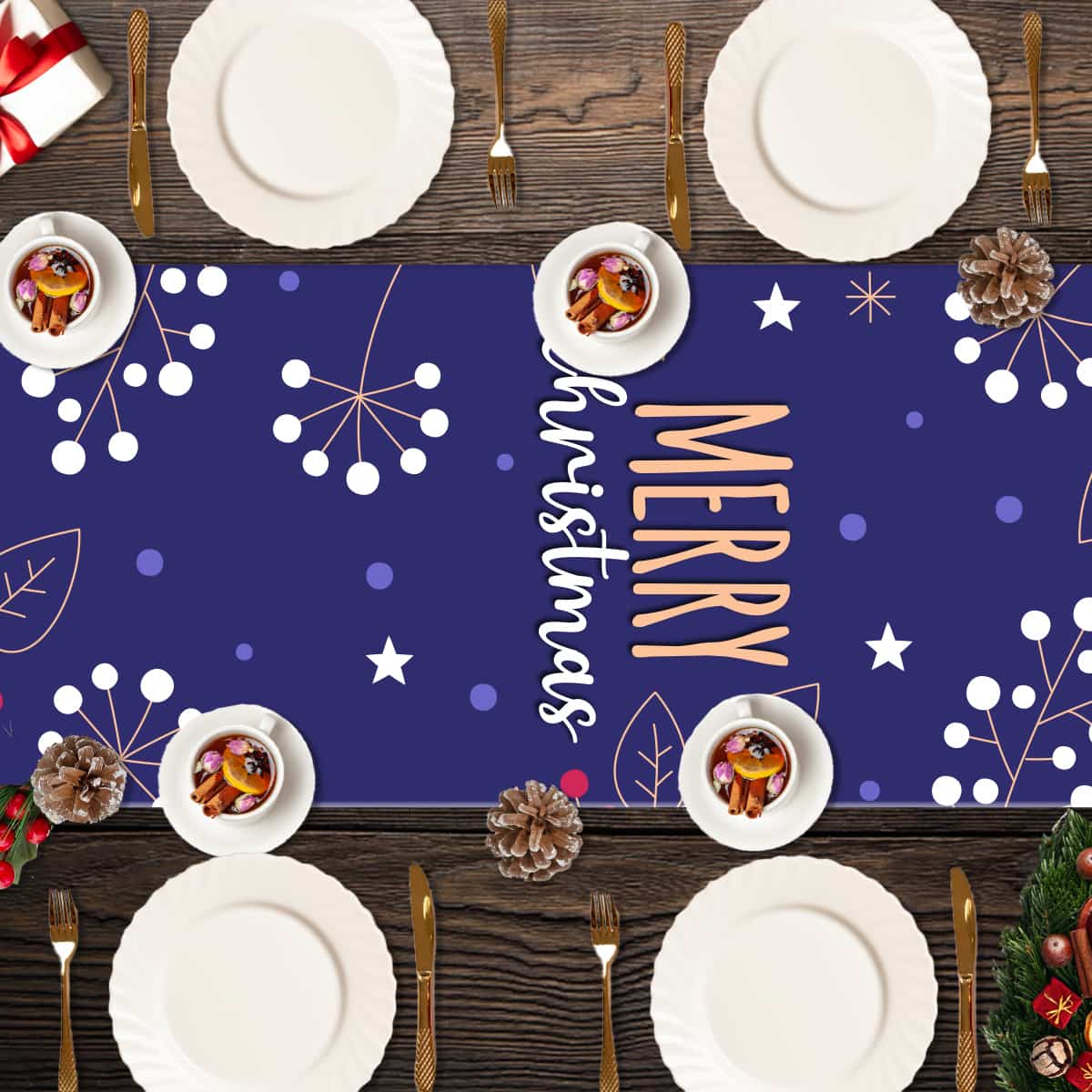 CAMNAV28 - Noche de Invierno