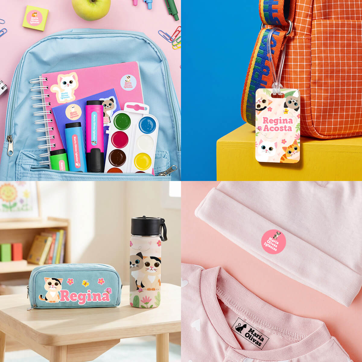 KPLUS66 - Gatitos Adorables