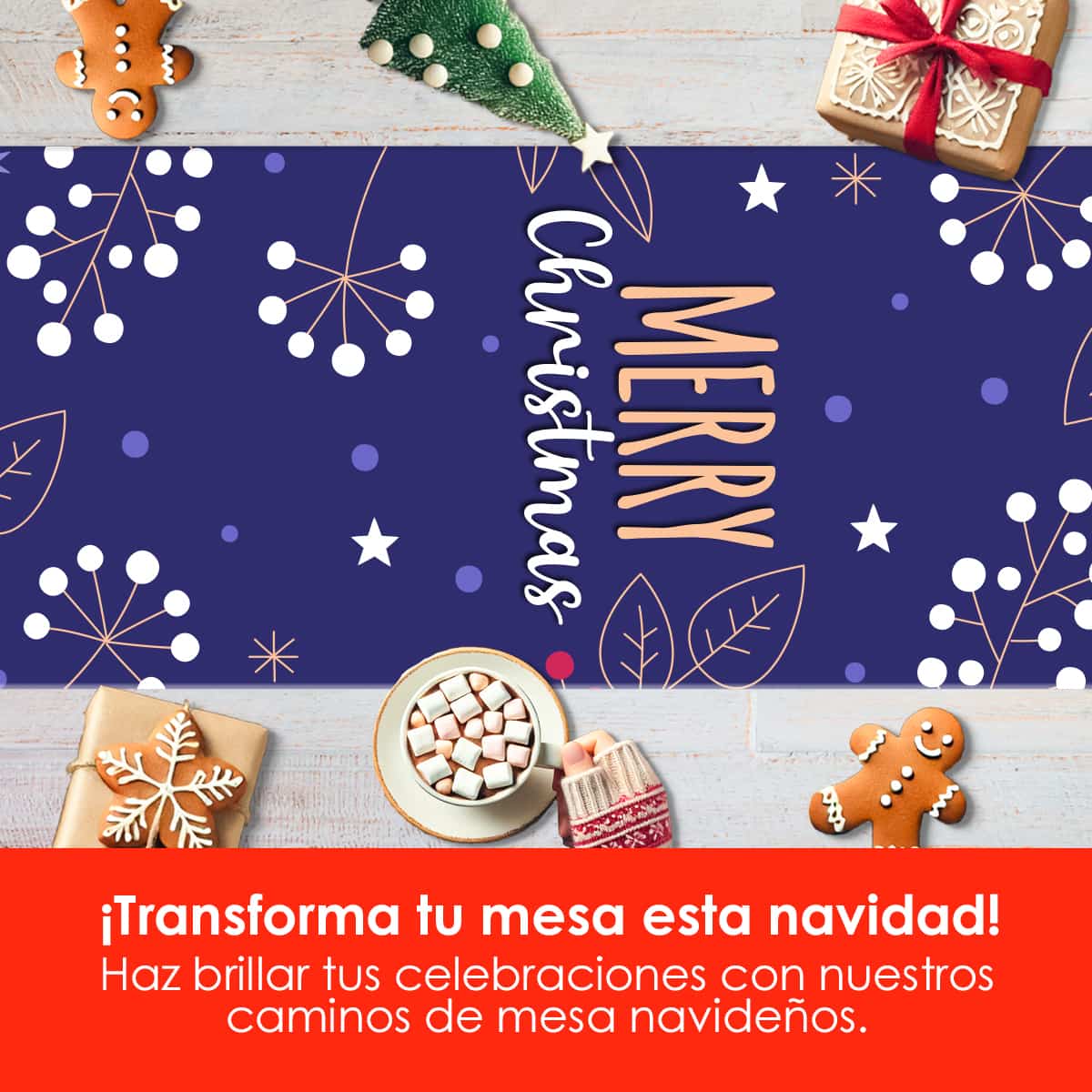 CAMNAV28 - Noche de Invierno