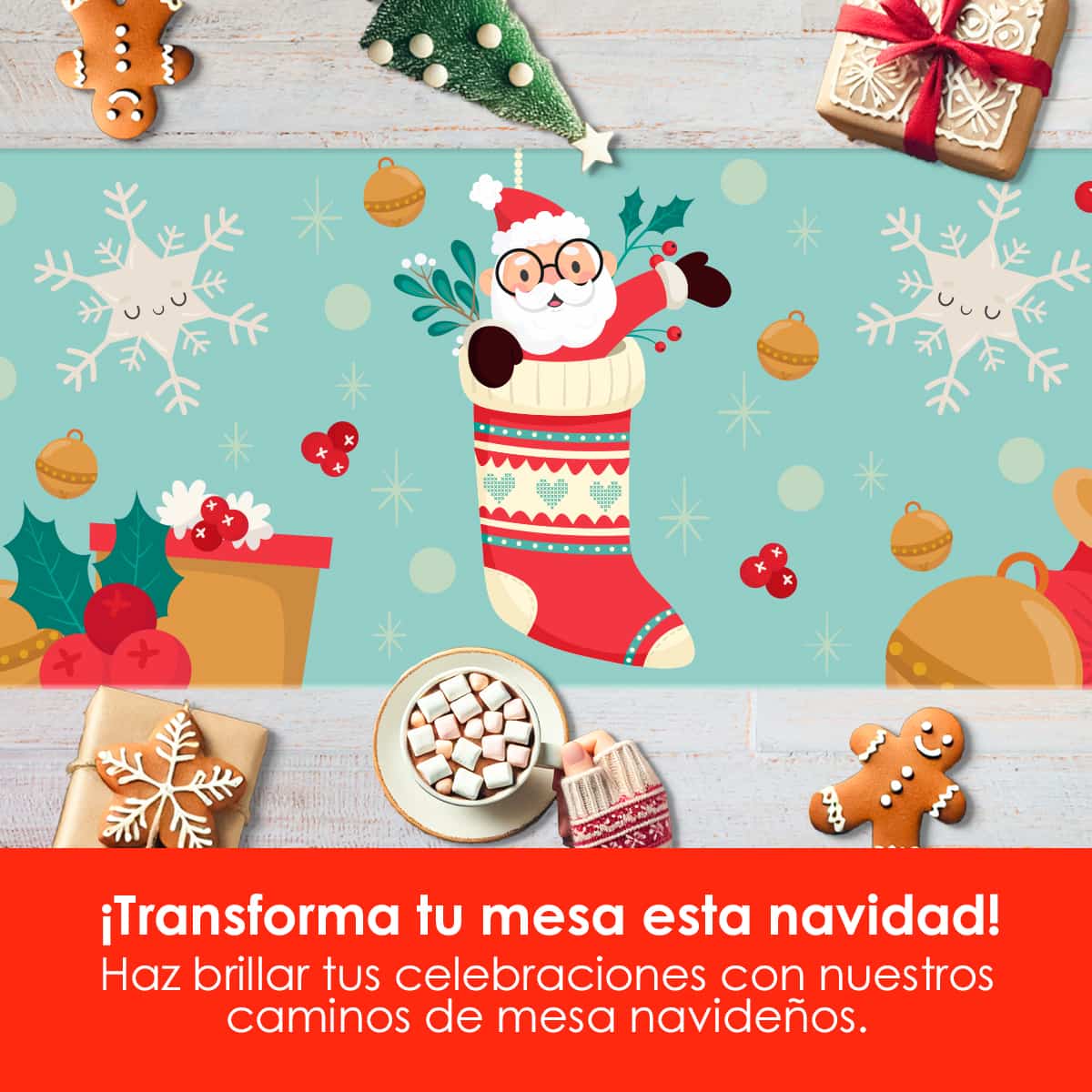 CAMNAV31 - Navidad Polar