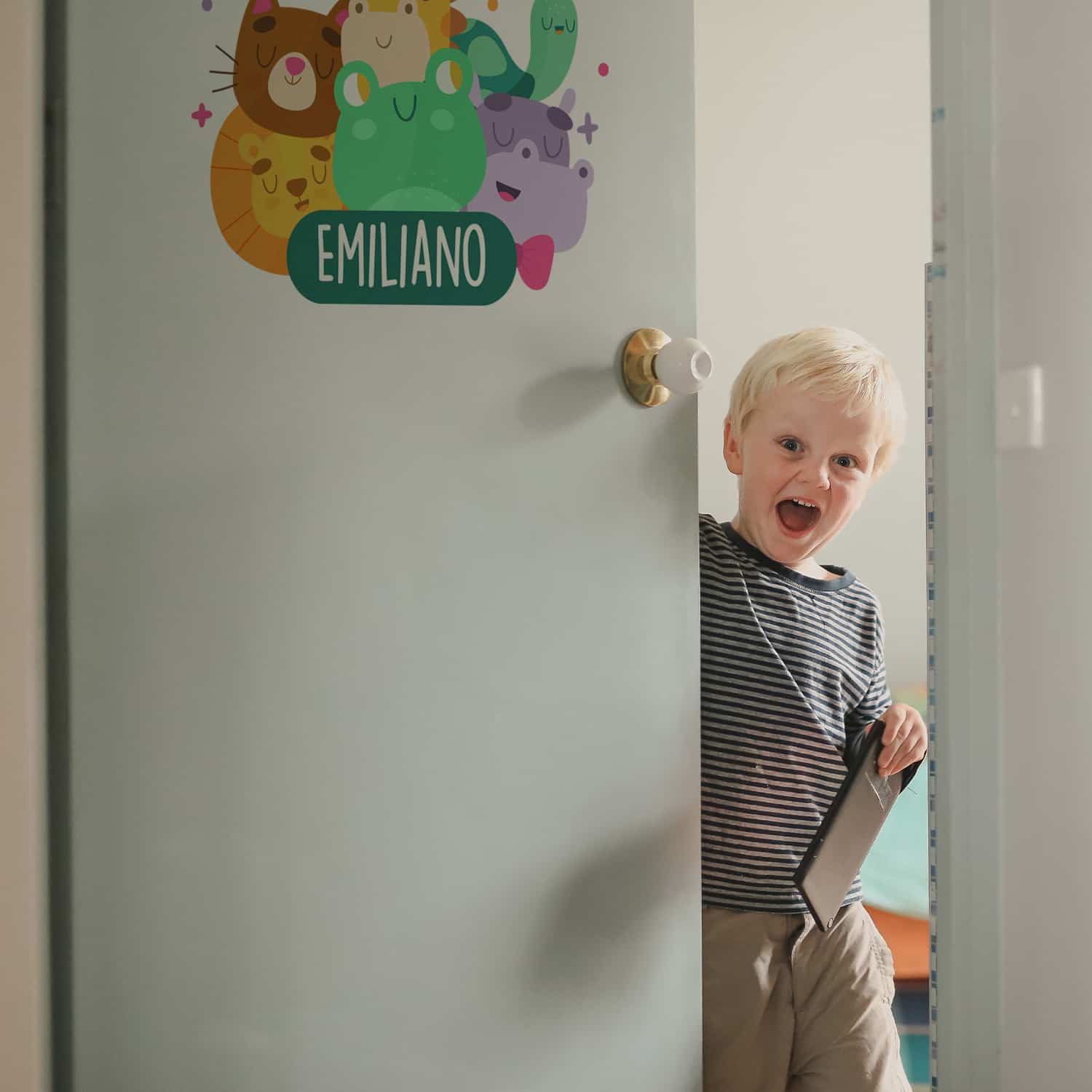 COMBO67 - Animalitos Felices