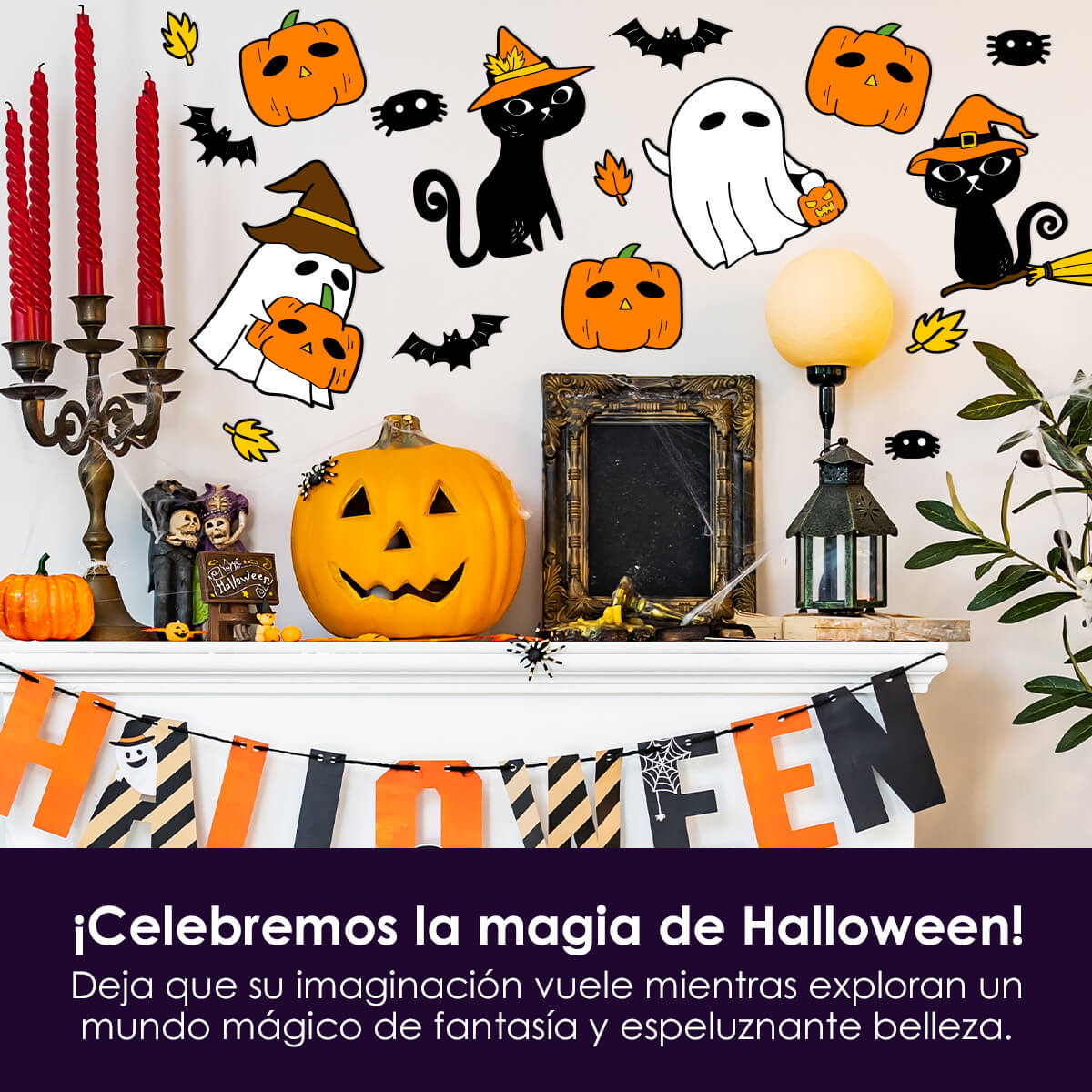Decohall24 - Gatos Hechiceros