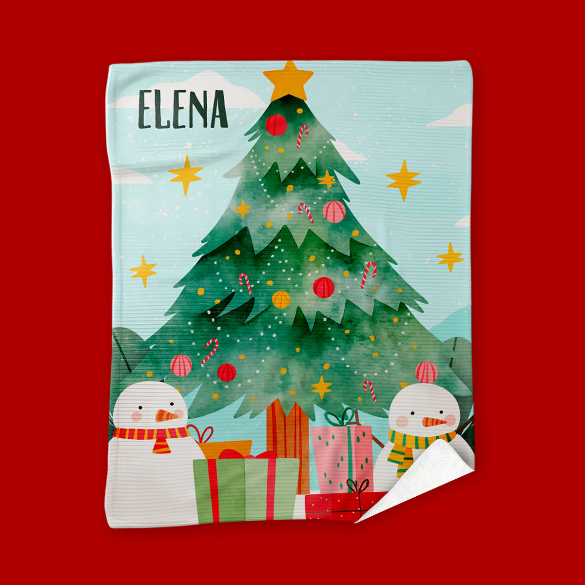 FRAZ12 - Bosque Nevado