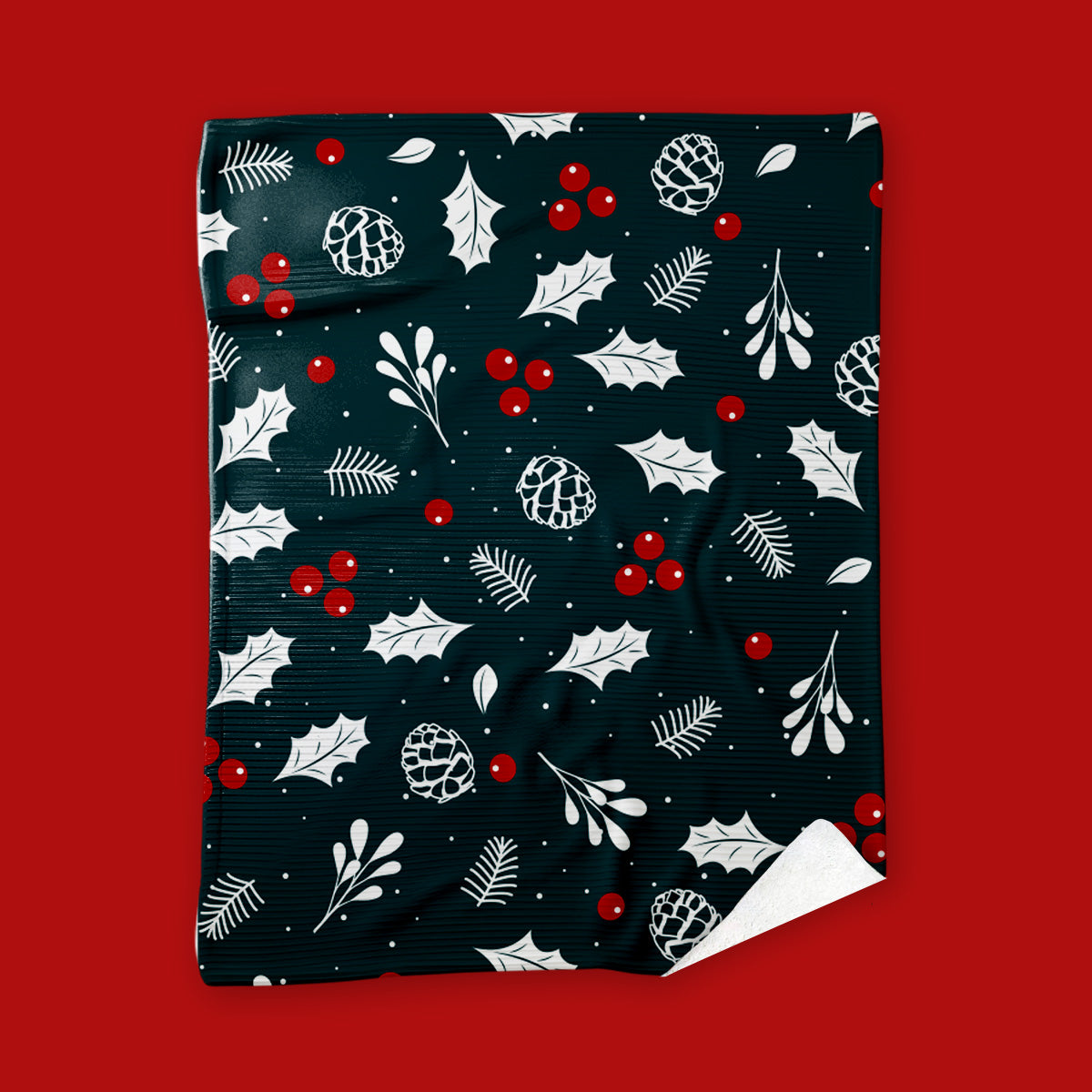 FRAZ23 - Rincón Invernal