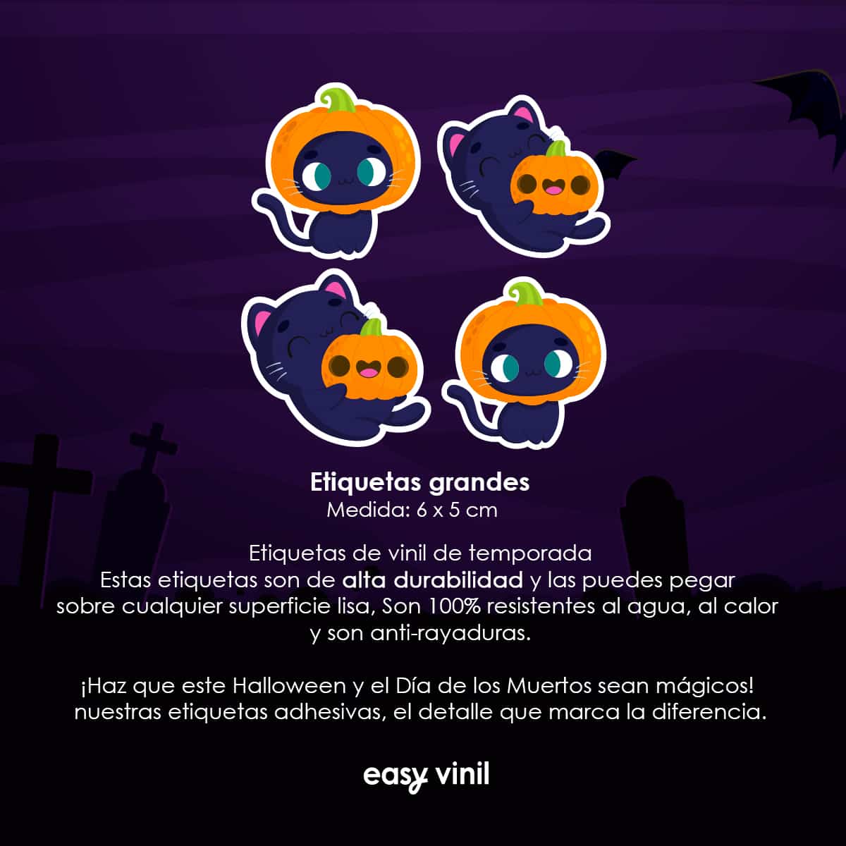 ETIHALL34 - Bigotitos Mágicos