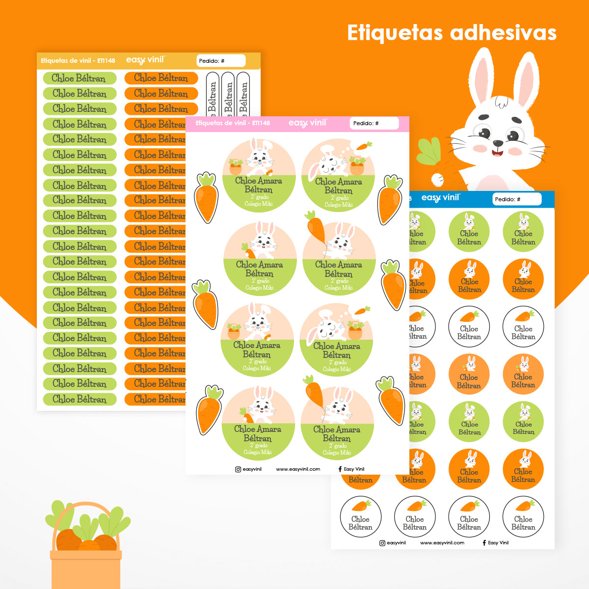ET1I48 - Conejo travieso