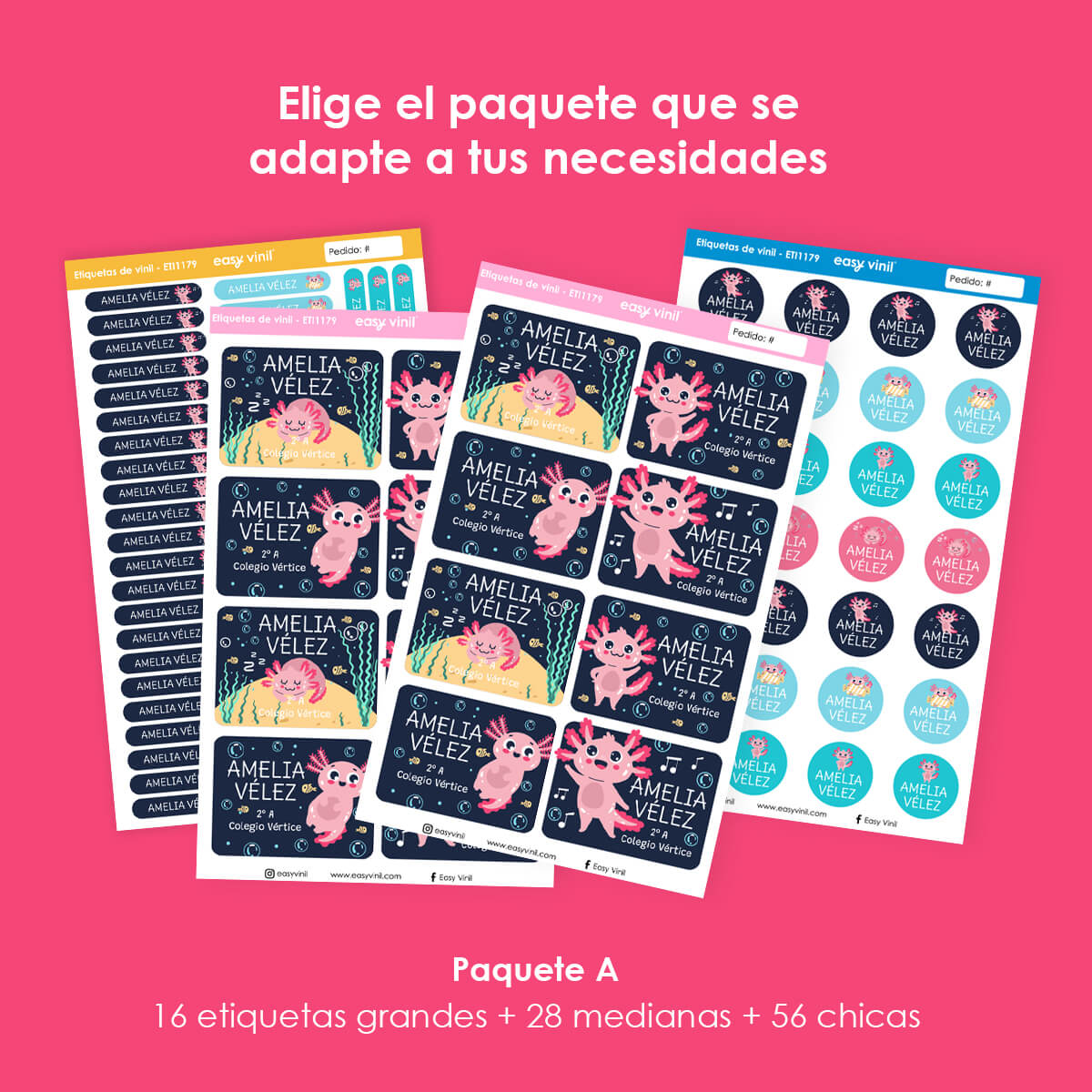 ETI119 - Ajolotes Traviesos