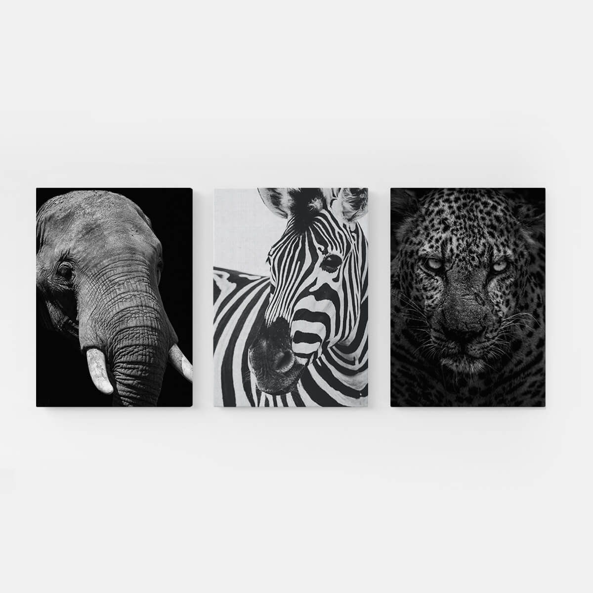 CANVAS34 - Wild life black and white